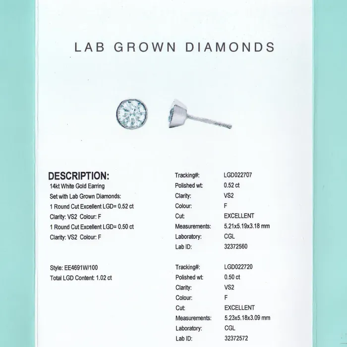 14kt White Gold 102cttw LabCreated Diamond Stud Earrings Diamond Evolution Earrings