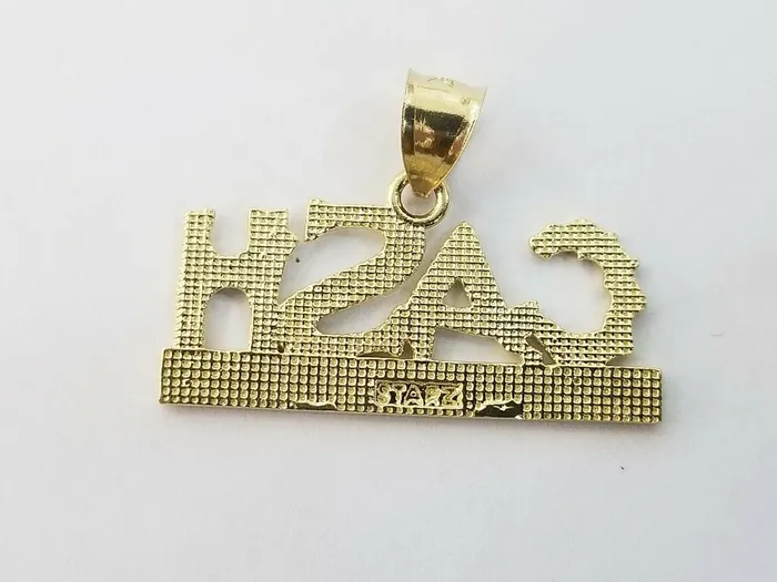 Gold and Diamond Necklaces 10k Yellow Gold Lucky Cash Mens Charm Pendant with Diamond Cut Design
